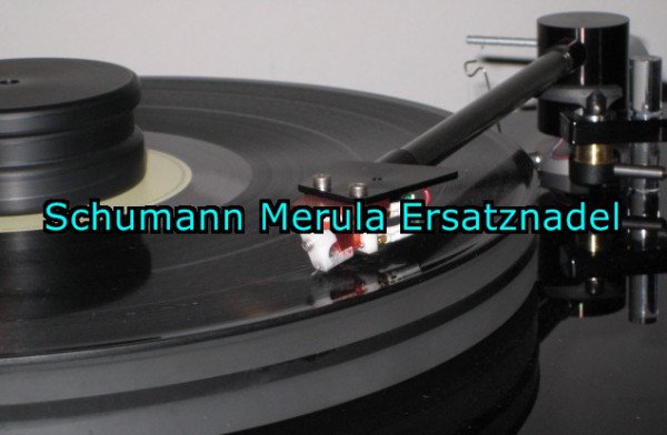 Schumann Merula STC 495/1