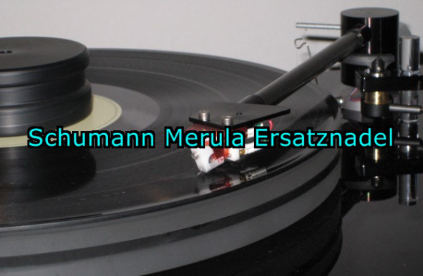 Schumann Merula STC 488
